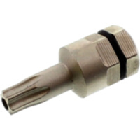 Bit Torx T25 mit Bohrung 5/16 6 Kant