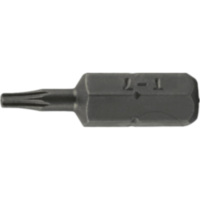 Bit Torx T25 mit Bohrung