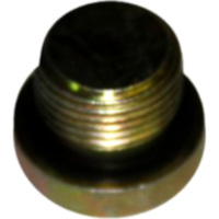 Verschlussschraube alt