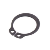 SEEGERING für RADACHSE AC