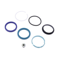 Dichtsatz TSAPP Nussbaum