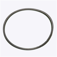 O-Ring TTAP 172MM 980069