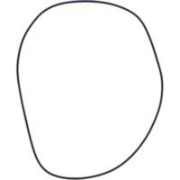 O-Ring für ABDRUECKZYL.