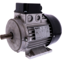 Motor Monty 3300 2-Speed