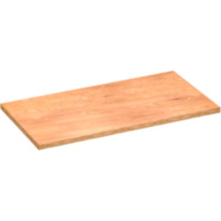 ARBEITSPLATTE hinten links V600001357D