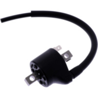 Zündspule Originalersatzteil 981056