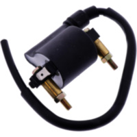 Zündspule JMP 1004203