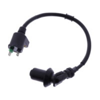 Zündspule Originalersatzteil 1054852