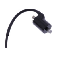 Zündspule Originalersatzteil 1105088