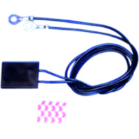 Elektronik Protektor 12V