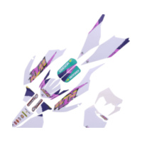 Aufkleber Satz BlackBird Racing 1108015