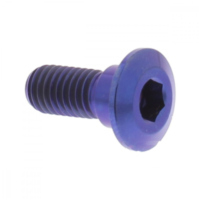 Schraube Bremsscheibe TIDISCYAM20B