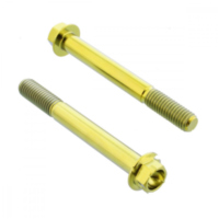 Schraube Bremssattel Satz TIFBMON620G