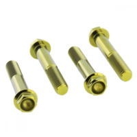 Schraube Bremssattel Satz TIFBMON300G