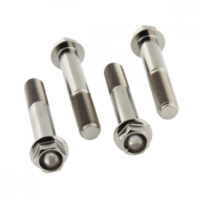 Schraube Bremssattel Satz TIFBMON350