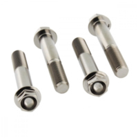 Schraube Bremssattel Satz TIFBMON360