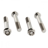 Schraube Bremssattel Satz TIFBMON360R