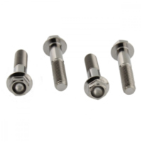 Schraube Bremssattel Satz TIFBMON420