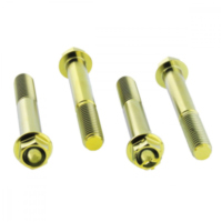 Schraube Bremssattel Satz TIFBMON510G