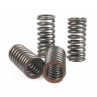 Ventil Federn Satz Malossi 2912834