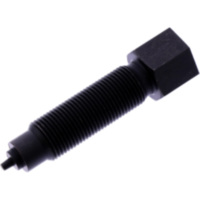 Hohlnietdorn Whale JMP