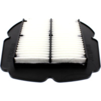 Luftfilter Hiflo HFA3618