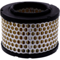 Luftfilter Mahle LX191