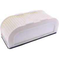 Luftfilter Originalersatzteil 22U1445000