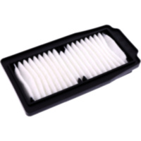 Luftfilter Hiflo HFA3202