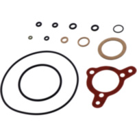 Siegel Dichtungssatz Vergaser Dellorto 974878