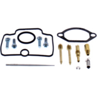 Vergaser Reparatursatz All Balls Racing 2610066