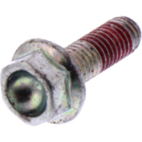 Bolzen Schraube für Ritzel Originalersatzteil 970492