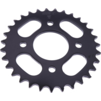 Kettenblatt Kettenrad 31Z Teilung 520 schwarz