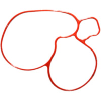 Dichtung Wasserpumpen Deckel Athena S410510024038