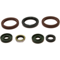 Simmering Wellendichtring Satz P400270400062