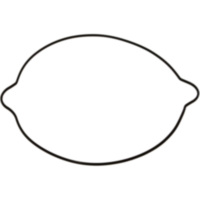 Dichtung Kupplung Deckel außen Athena S410270008021