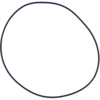 Zylinderkopfdichtung O-Ring Athena M751802450094