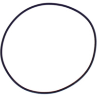 Zylinderkopfdichtung O-Ring Athena M752008600094