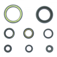 Simmering Wellendichtring Satz P400210400202