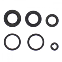 Simmering Wellendichtring Satz P400325400003