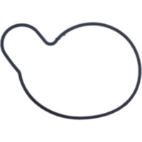 Dichtung Wasserpumpen Deckel Athena S410510024021