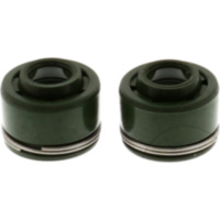 Ventilschaftdichtung Satz JMP 7342630