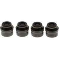 Ventilschaftdichtung Satz JMP 7342677