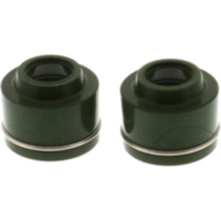 Ventilschaftdichtung Satz JMP 7342692