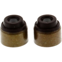 Ventilschaftdichtung Satz JMP 7342725