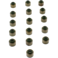 Ventilschaftdichtung Satz JMP 7342752