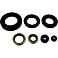 Wellendichtring Satz Tourmax OSL425R