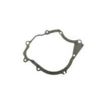 Lichtmaschinendeckeldichtung Originalersatzteil 1P6E545100