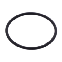 Einlassdichtung O-Ring Athena