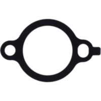 Dichtung Steuerkettenspanner Athena S410485078013